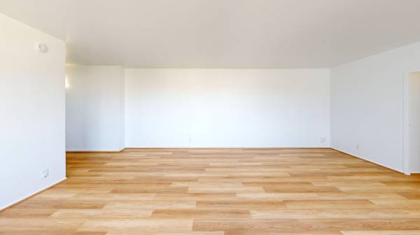 1BR/1BA Apartment on Arballo Drive Apartment 8k · San Francisco photo 3