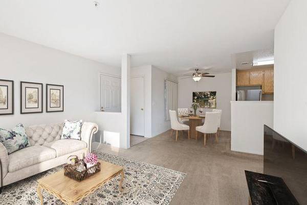 Lakeshore Apartments photo 3
