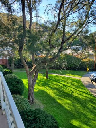 1BR/1BA Apartment on Caprino Way · San Carlos photo 3