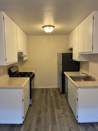 Birchwood Apartments photo 2