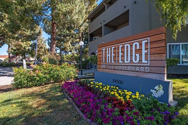 Apartments on Fremont Blvd · Union City photo 3