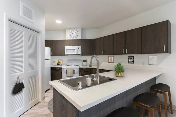 1BR/1BA Apartment on Mccoy Creek Way · Fairfield photo 4