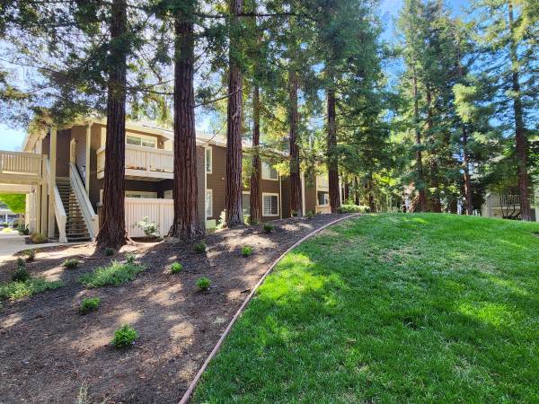 Apartments on Parkwood Circle · Dublin photo 2