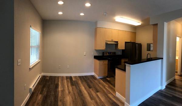 Catalina Luxury Apartments photo 2