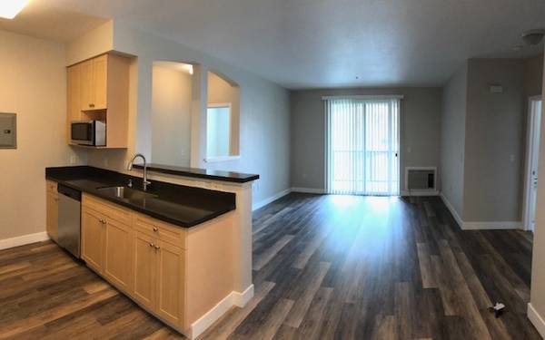 Catalina Luxury Apartments photo 3