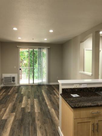 Catalina Luxury Apartments photo 5