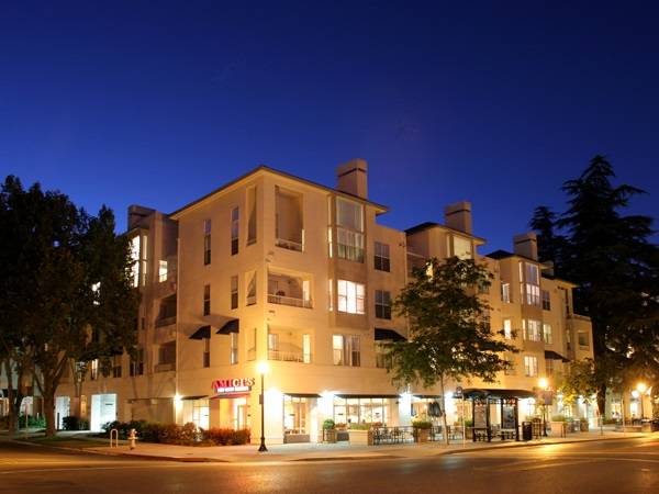Apartments on Church St · Mountain View photo 5
