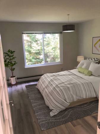 1737 Jackson Street, San Francisco, CA 94109 photo 4