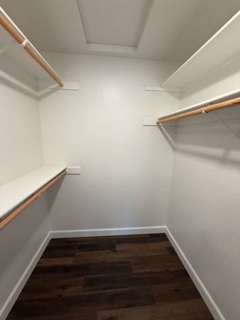 Alderwood photo 5