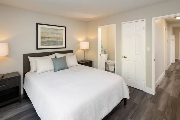 Newly Remodeled home in Hayward photo 3