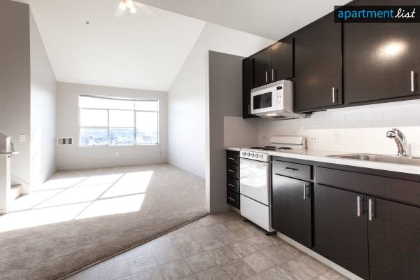 Soma Residences photo 2