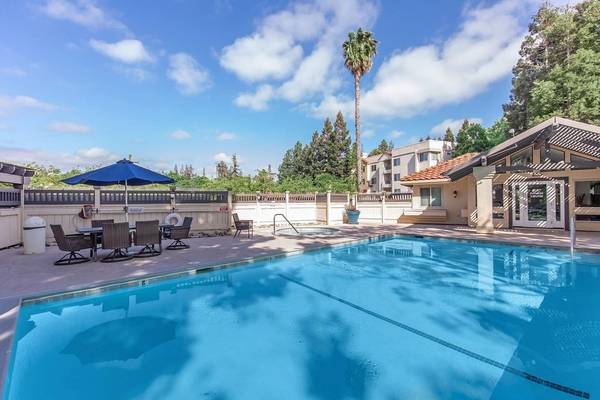 Apartments on San Tomas Aquino Rd · San Jose photo 4