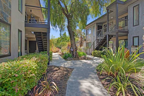2BR/1BA Apartment on Whisman · Mountain View photo 5