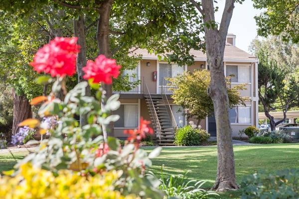 1 Bedroom 1 Bathroom in Morgan Hill photo 2