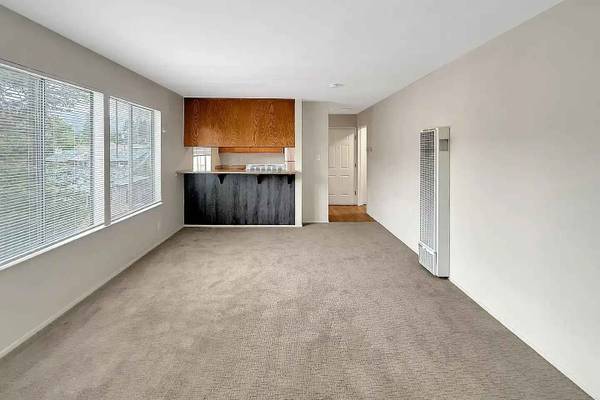 3600 Dimond photo 5