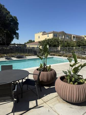 1BR/1BA Apartment on Main St · Antioch photo 2
