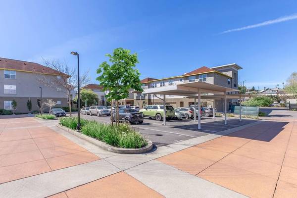 The Village at Town Center photo 2