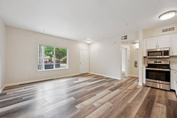 1BR/1BA Apartment on Lomitas Avenue · Santa Rosa photo 3