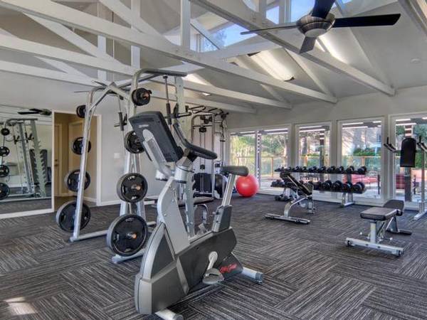 Apartments on Sherwood Drive · Sausalito photo 3