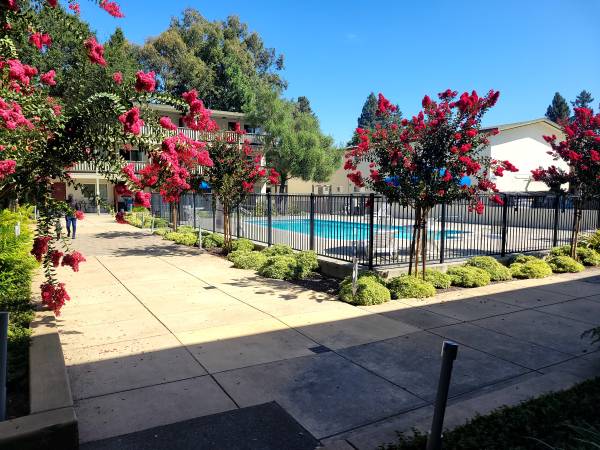 Apartments on Pacific Avenue · Santa Rosa photo 5