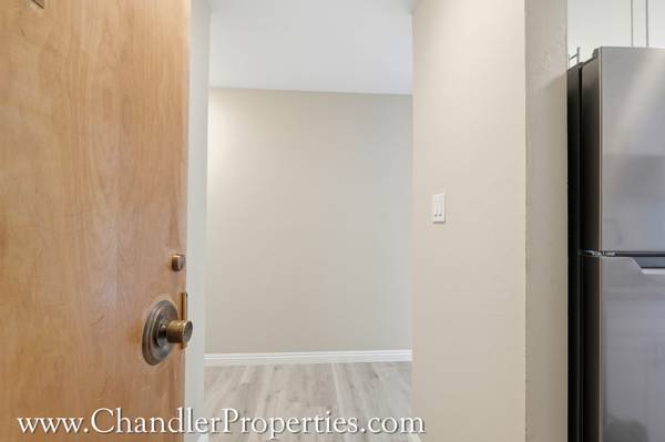 Cow Hollow/Pacific Heights photo 3