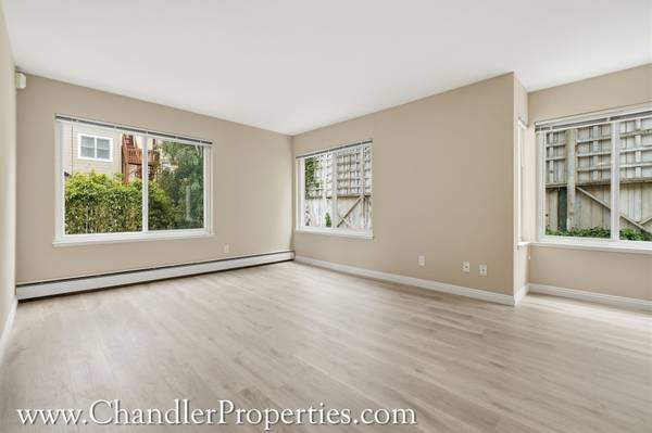 Cow Hollow/Pacific Heights photo 5