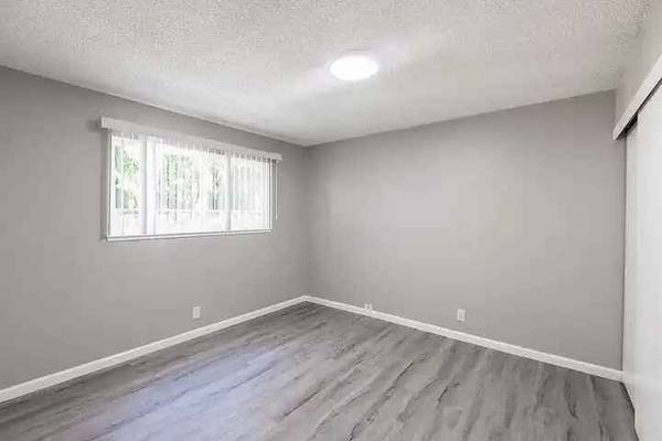 Sandalwood Apartments photo 4