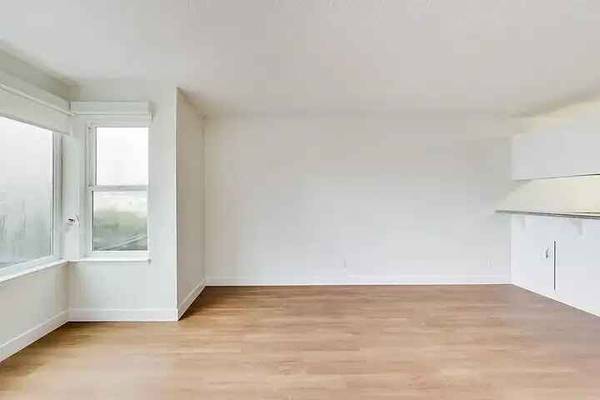1BR/1BA Apartment on Alameda De Las Pulgas · Belmont photo 4