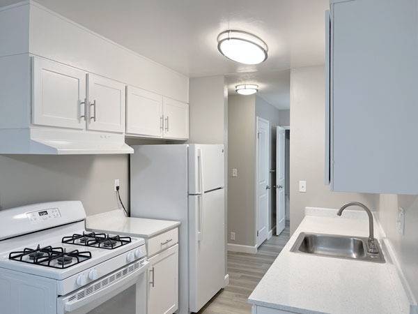 Hacienda Apartments photo 3