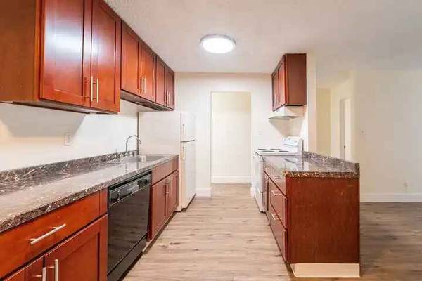 Apartments on Euclid Ave · Oakland photo 3