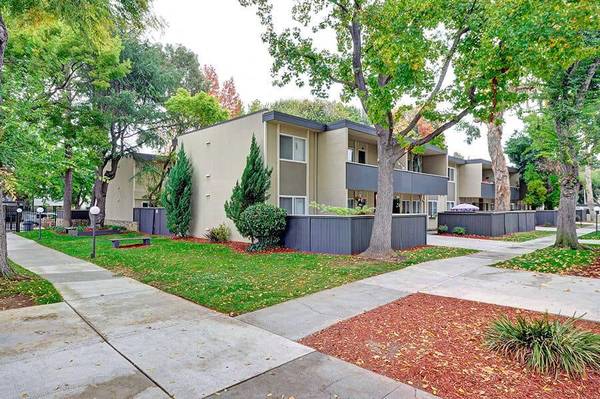 Trestles Apartments photo 5