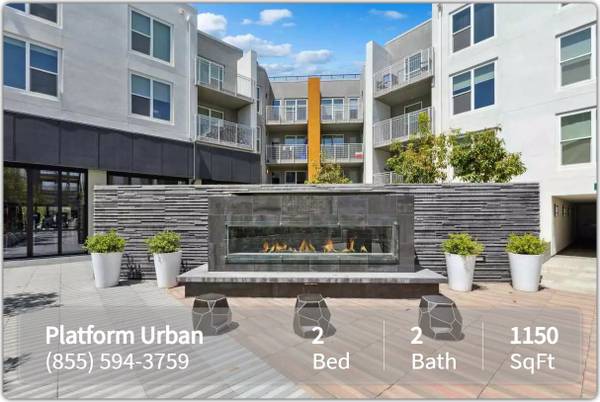 Apartments on Navy Place · San Jose photo 2
