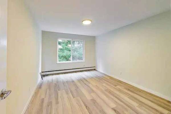 1737 Jackson Street, San Francisco, CA 94109 photo 5