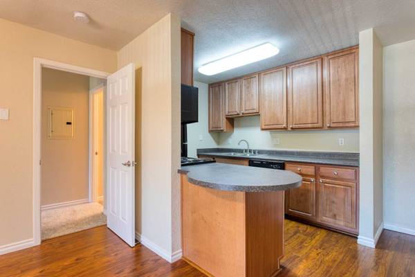 1BR/1BA Apartment on Coggins Drive · Walnut Creek photo 5