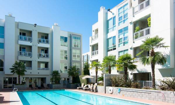 1655 N California Blvd Walnut Creek, CA 94597 photo 5