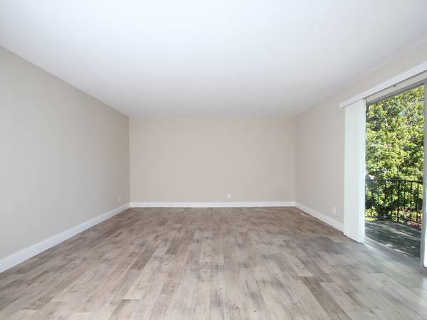 Roble Vista Apartments photo 5