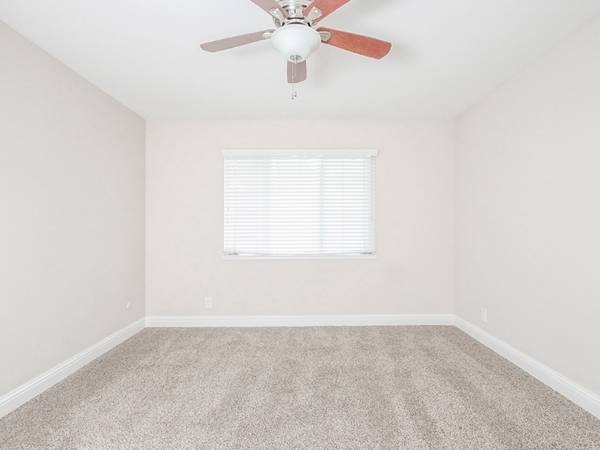 Roble Vista Apartments photo 4
