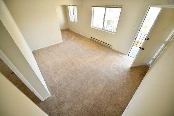 Seville Apartments photo 5