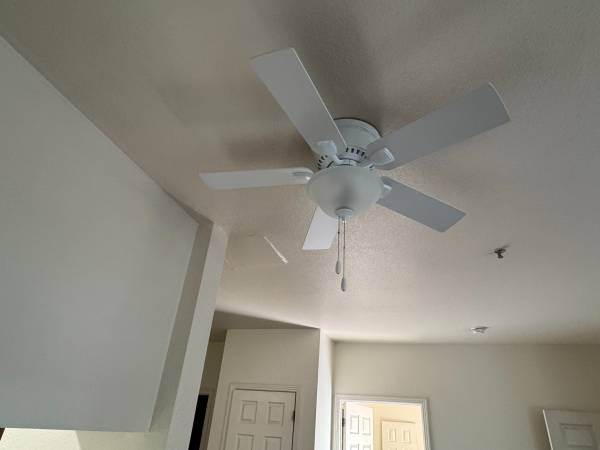 Apartments on E Reed Street · San Jose photo 3