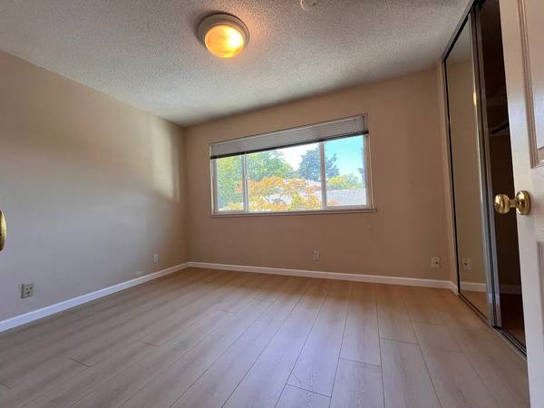 Remodeled 4 Bed 2 Bath Beauty in Vintage Hills photo 3