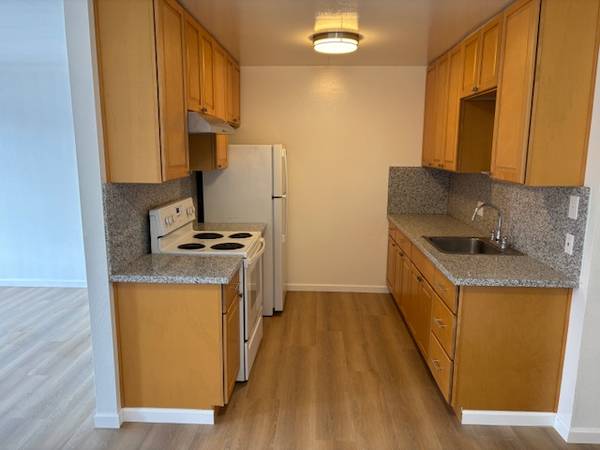 2 Bed 1 Bath Condo (Remodeled) photo 3
