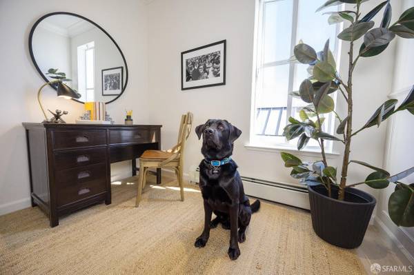 1BR/1BA Townhouse on Masonic Ave · San Francisco photo 5