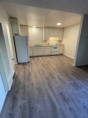 1BR/1BA Apartment on Bodega Ave · Sebastopol photo 2