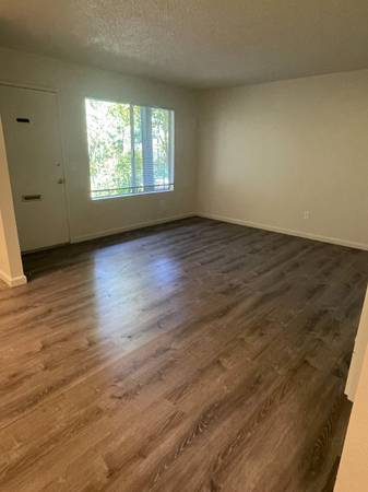 1BR/1BA Apartment on Bodega Ave · Sebastopol photo 3
