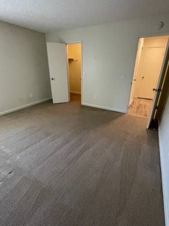 1BR/1BA Apartment on Bodega Ave · Sebastopol photo 5