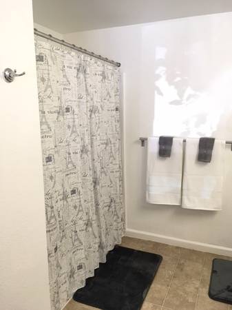 1BR/1BA Apartment on South El Camino Real · San Mateo photo 3