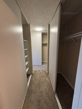 163rd Ave, San Leandro (Apartment) photo 4