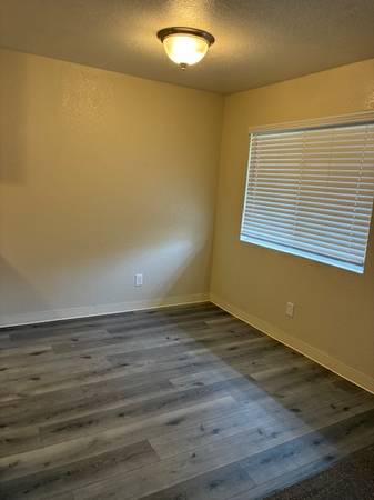 Birchwood Apartments photo 3