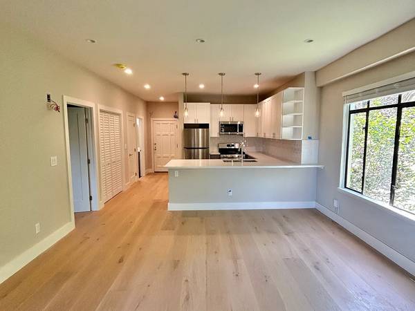 Modern and Stylish Elmwood Apartment photo 2