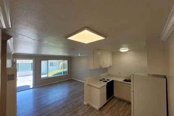 All Single Story Apartment Community photo 5